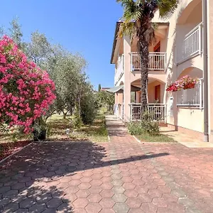 Viola Three Novigrad Istria
